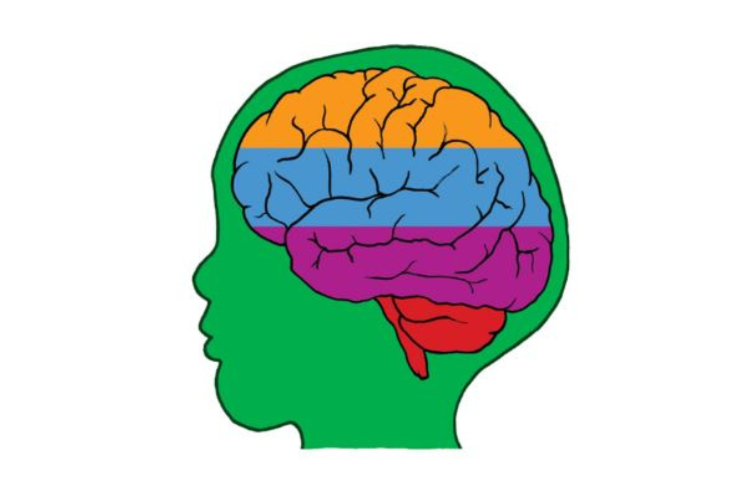 The Omega-3 Home Test To Protect Your Brain - Patrick Holford