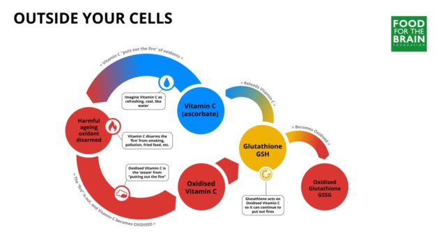 Anti-Age Your Brain - The Glutathione Breakthrough - Patrick Holford